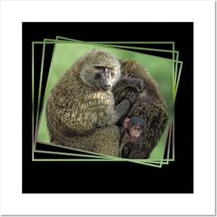 Baboon-Family - Primates - Monkeys in Africa Posters and Art